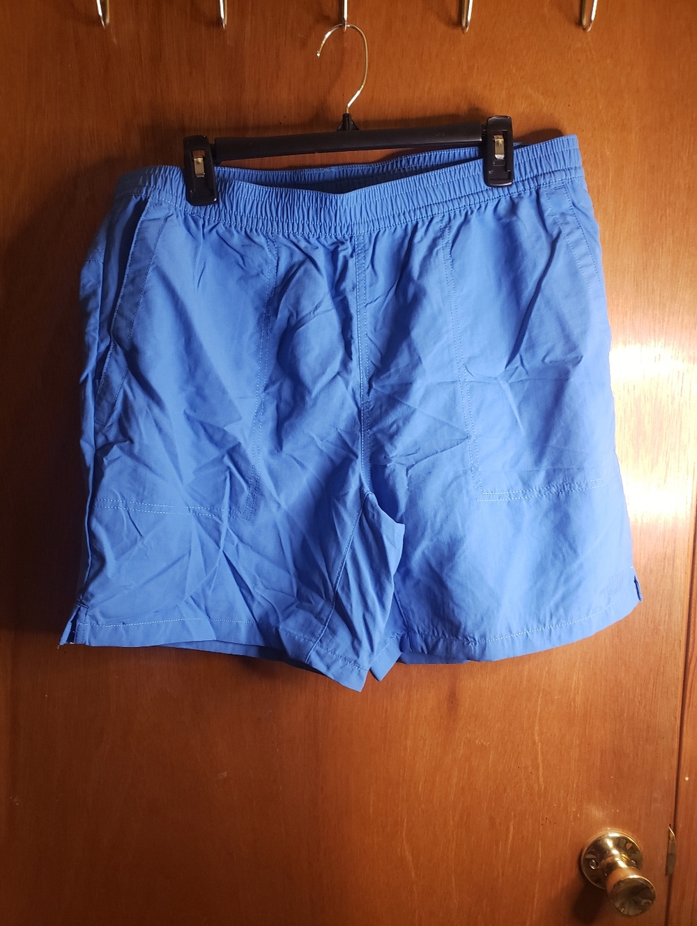 North Face Super Sonic Blue Shorts Size L NEW!